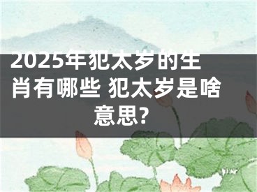 2025年犯太岁的生肖有哪些 犯太岁是啥意思?