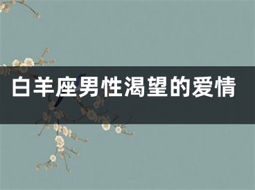 白羊座男性渴望的爱情