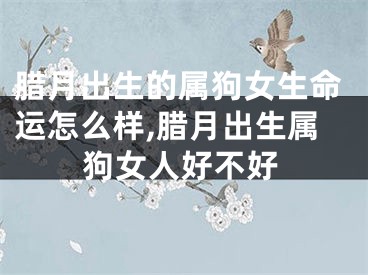 腊月出生的属狗女生命运怎么样,腊月出生属狗女人好不好