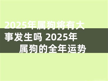2025年属狗将有大事发生吗 2025年属狗的全年运势