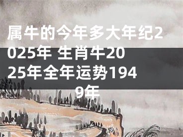 属牛的今年多大年纪2025年 生肖牛2025年全年运势1949年