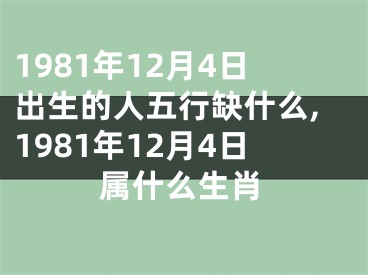 1981年12月4日出生的人五行缺什么,1981年12月4日属什么生肖