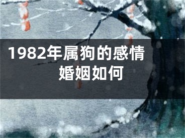 1982年属狗的感情婚姻如何