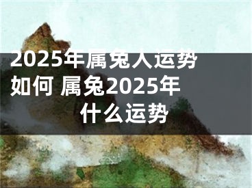 2025年属兔人运势如何 属兔2025年什么运势