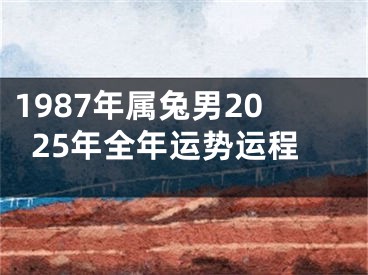 1987年属兔男2025年全年运势运程