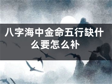 八字海中金命五行缺什么要怎么补