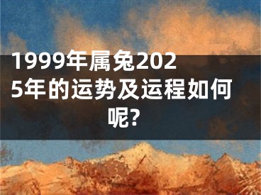 1999年属兔2025年的运势及运程如何呢?