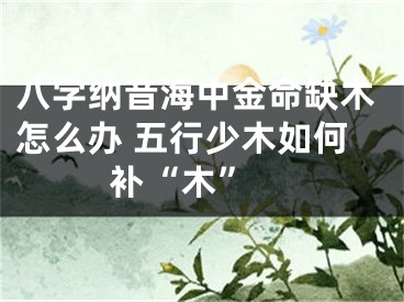 八字纳音海中金命缺木怎么办 五行少木如何补“木” 