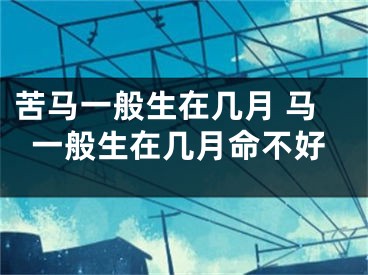 苦马一般生在几月 马一般生在几月命不好