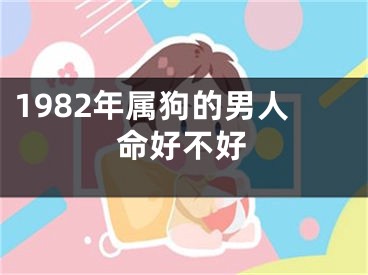 1982年属狗的男人命好不好