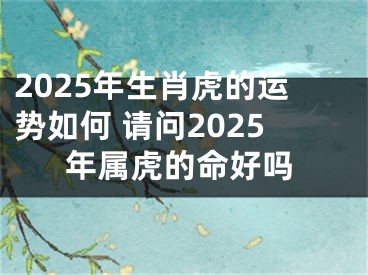 2025年生肖虎的运势如何 请问2025年属虎的命好吗