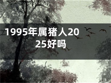 1995年属猪人2025好吗