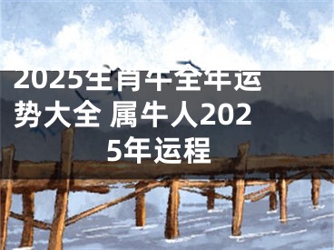 2025生肖牛全年运势大全 属牛人2025年运程