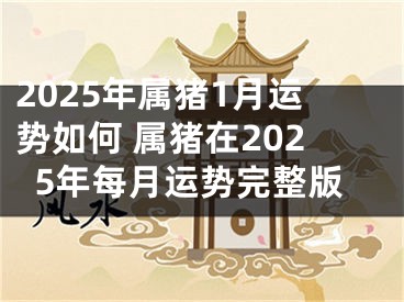 2025年属猪1月运势如何 属猪在2025年每月运势完整版