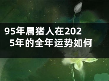95年属猪人在2025年的全年运势如何