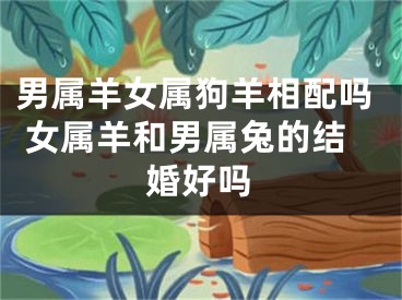 男属羊女属狗羊相配吗 女属羊和男属兔的结婚好吗