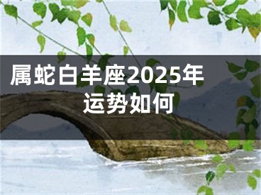 属蛇白羊座2025年运势如何