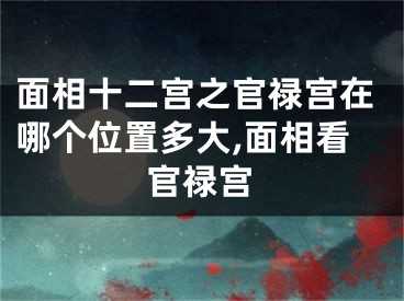 面相十二宫之官禄宫在哪个位置多大,面相看官禄宫