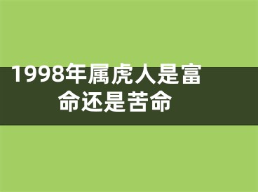 1998年属虎人是富命还是苦命 