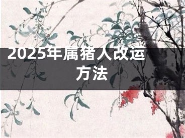 2025年属猪人改运方法