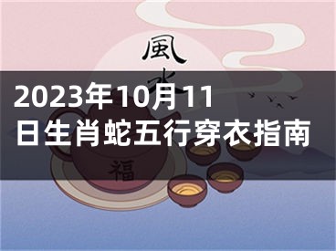 2023年10月11日生肖蛇五行穿衣指南