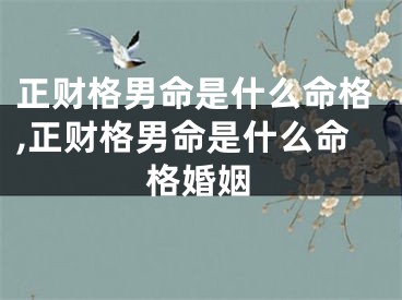 正财格男命是什么命格,正财格男命是什么命格婚姻