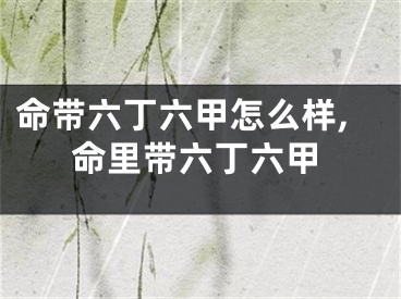 命带六丁六甲怎么样,命里带六丁六甲
