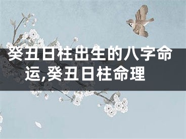 癸丑日柱出生的八字命运,癸丑日柱命理
