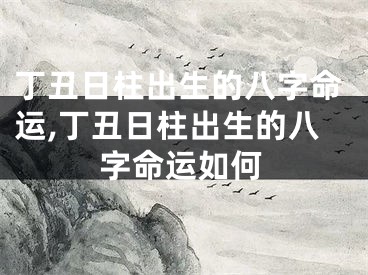 丁丑日柱出生的八字命运,丁丑日柱出生的八字命运如何