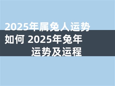 2025年属兔人运势如何 2025年兔年运势及运程