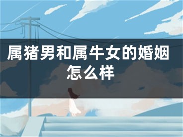 属猪男和属牛女的婚姻怎么样