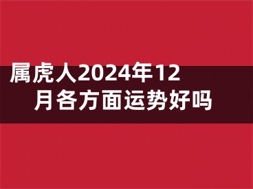 属虎人2024年12月各方面运势好吗