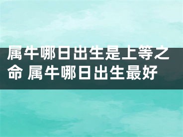 属牛哪日出生是上等之命 属牛哪日出生最好