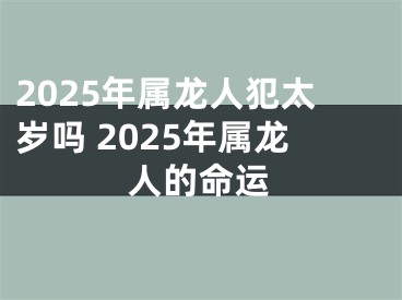 2025年属龙人犯太岁吗 2025年属龙人的命运