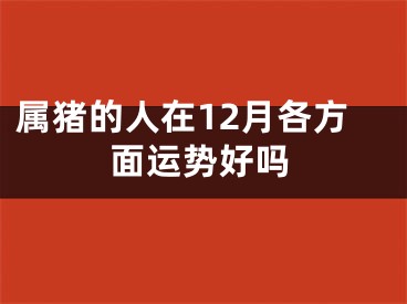 属猪的人在12月各方面运势好吗