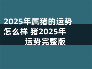 2025年属猪的运势怎么样 猪2025年运势完整版