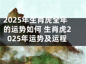 2025年生肖虎全年的运势如何 生肖虎2025年运势及运程