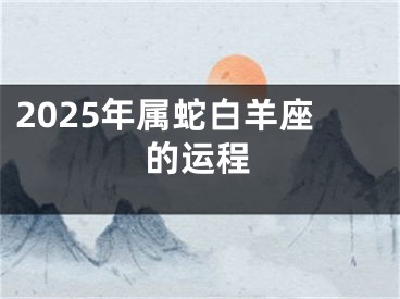 2025年属蛇白羊座的运程