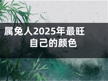 属兔人2025年最旺自己的颜色