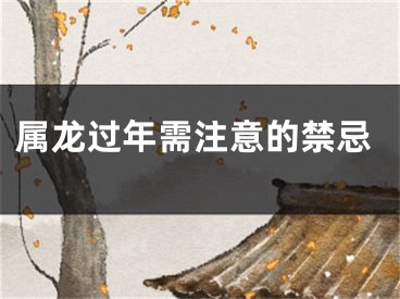 属龙过年需注意的禁忌
