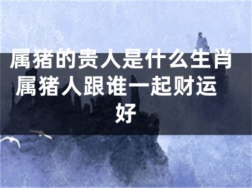属猪的贵人是什么生肖 属猪人跟谁一起财运好
