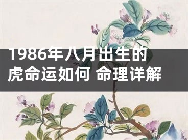 1986年八月出生的虎命运如何 命理详解