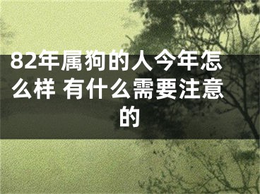 82年属狗的人今年怎么样 有什么需要注意的