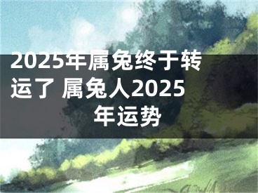 2025年属兔终于转运了 属兔人2025年运势