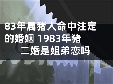 83年属猪人命中注定的婚姻 1983年猪二婚是姐弟恋吗