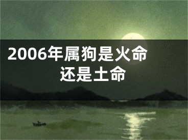 2006年属狗是火命还是土命