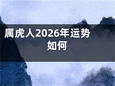 属虎人2026年运势如何