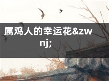 属鸡人的幸运花&zwnj;