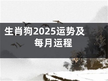 生肖狗2025运势及每月运程
