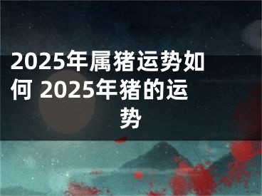 2025年属猪运势如何 2025年猪的运势